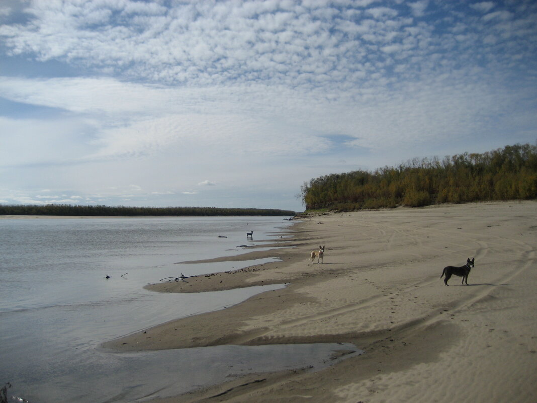 Осень - Anna Ivanova