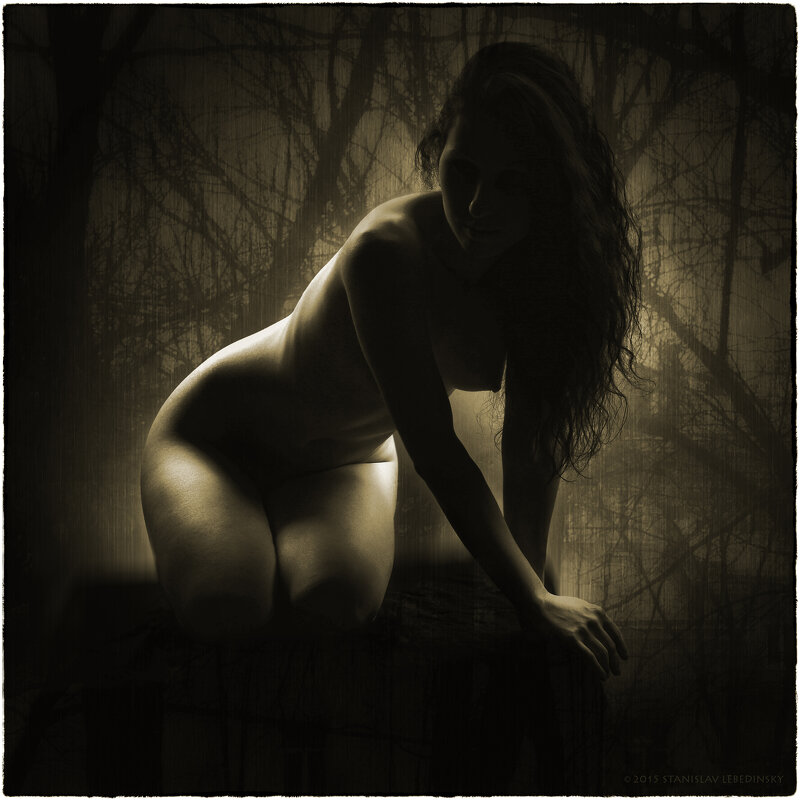 Силуэт_Nikon D5200_Nikkor 18-200мм - Станислав Лебединский