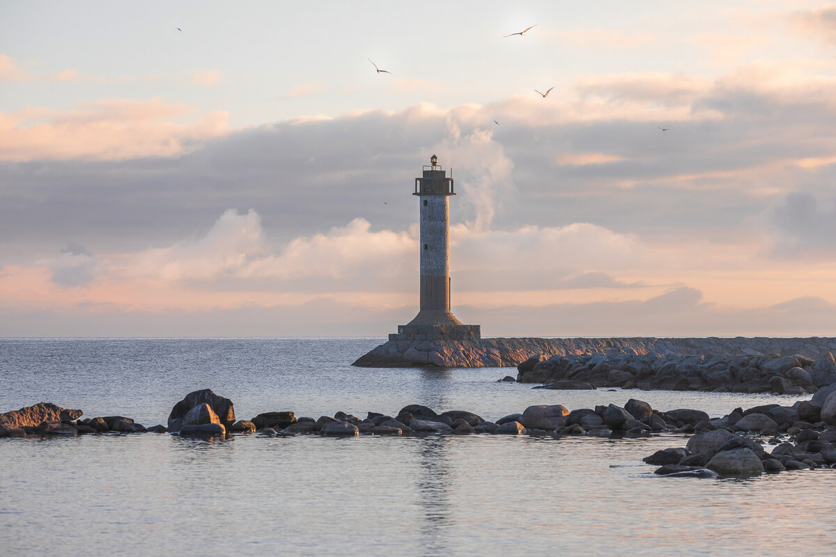 **** - Елизавета .