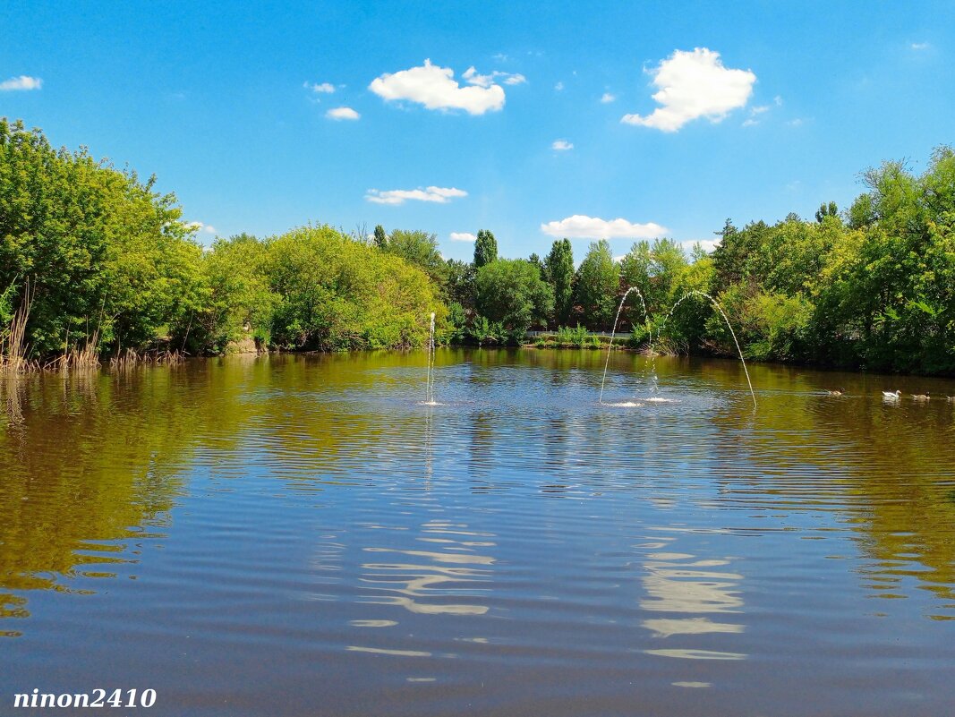 В ростовском зоопарке - Нина Бутко В ростовском зоопарке - Нина Бутко