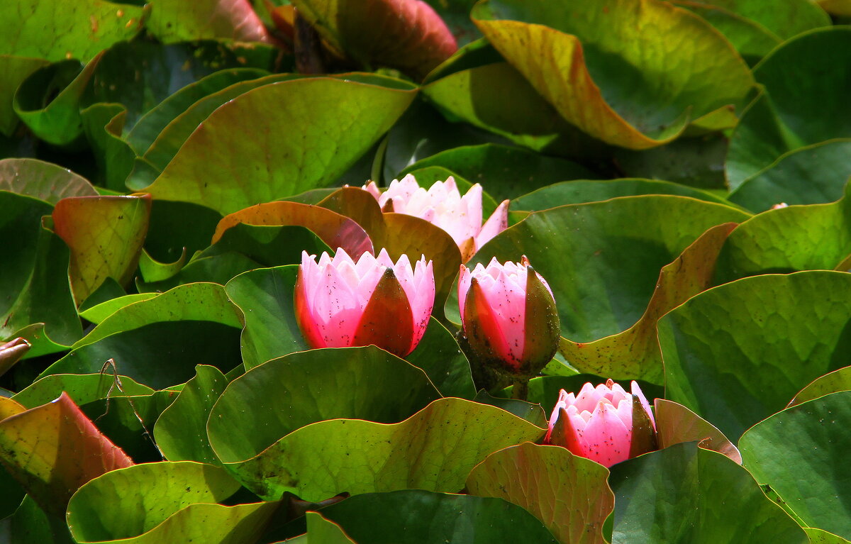 Есть такое озеро - Vlad Сергиевич