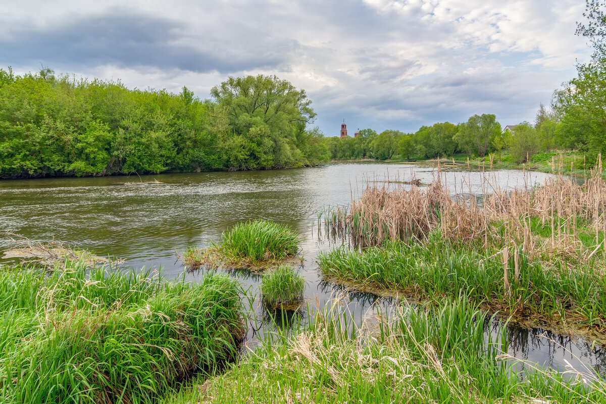 на Дону - Виталий Емельянов
