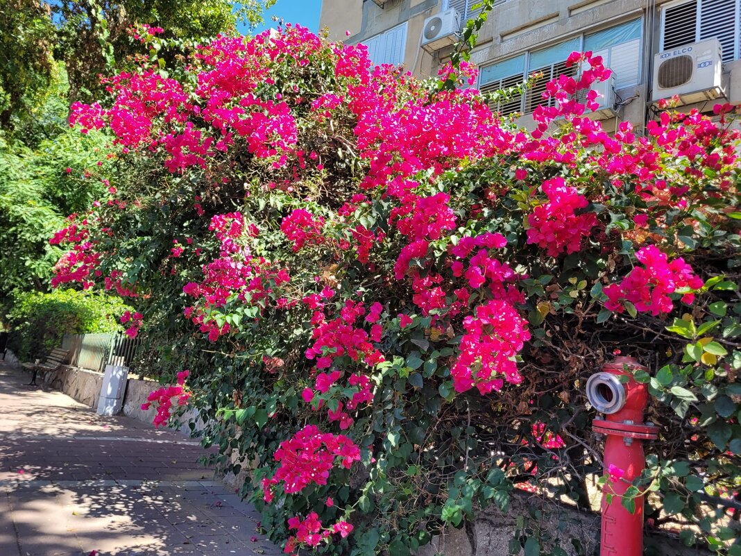 Первая прогулка летом! - Светлана Хращевская