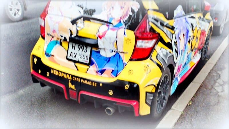 Аэрография японки - 3 - Сергей 