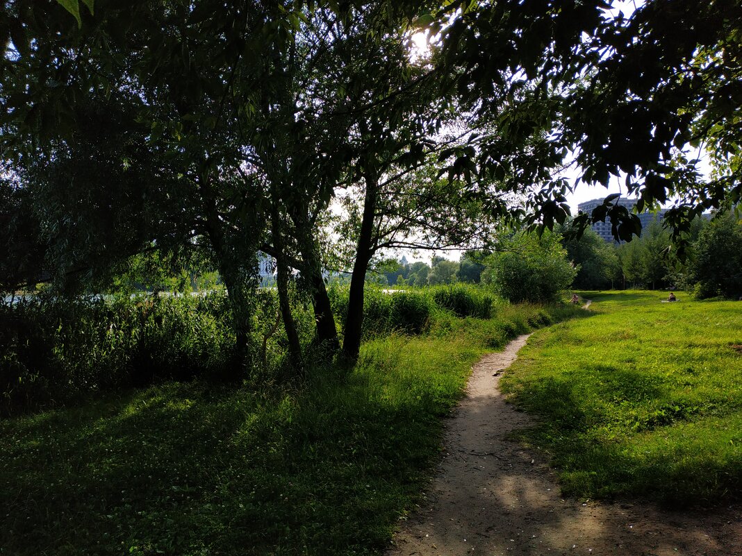 * * * - Андрей Лукьянов