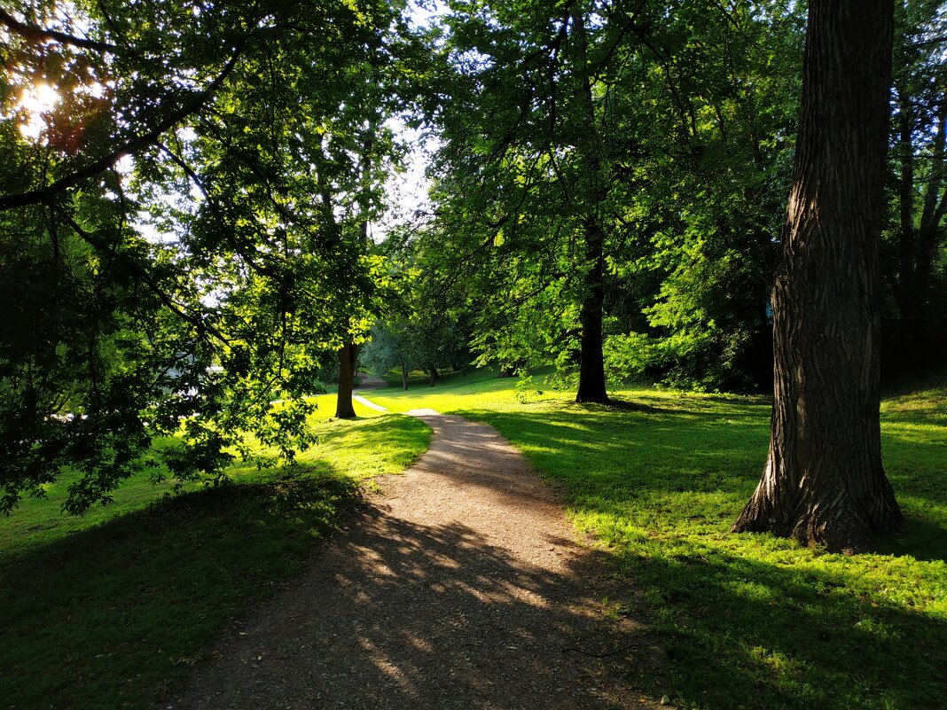 * * * - Андрей Лукьянов