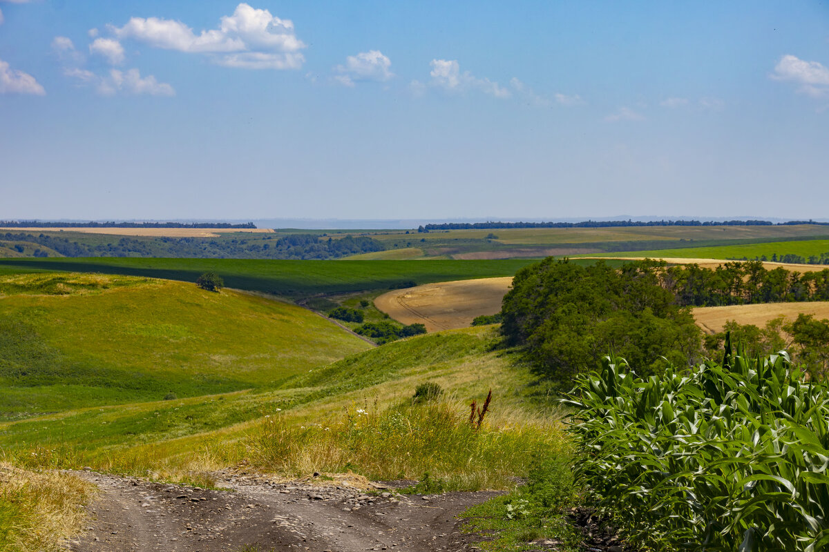 Поля... - Александр Посошенко