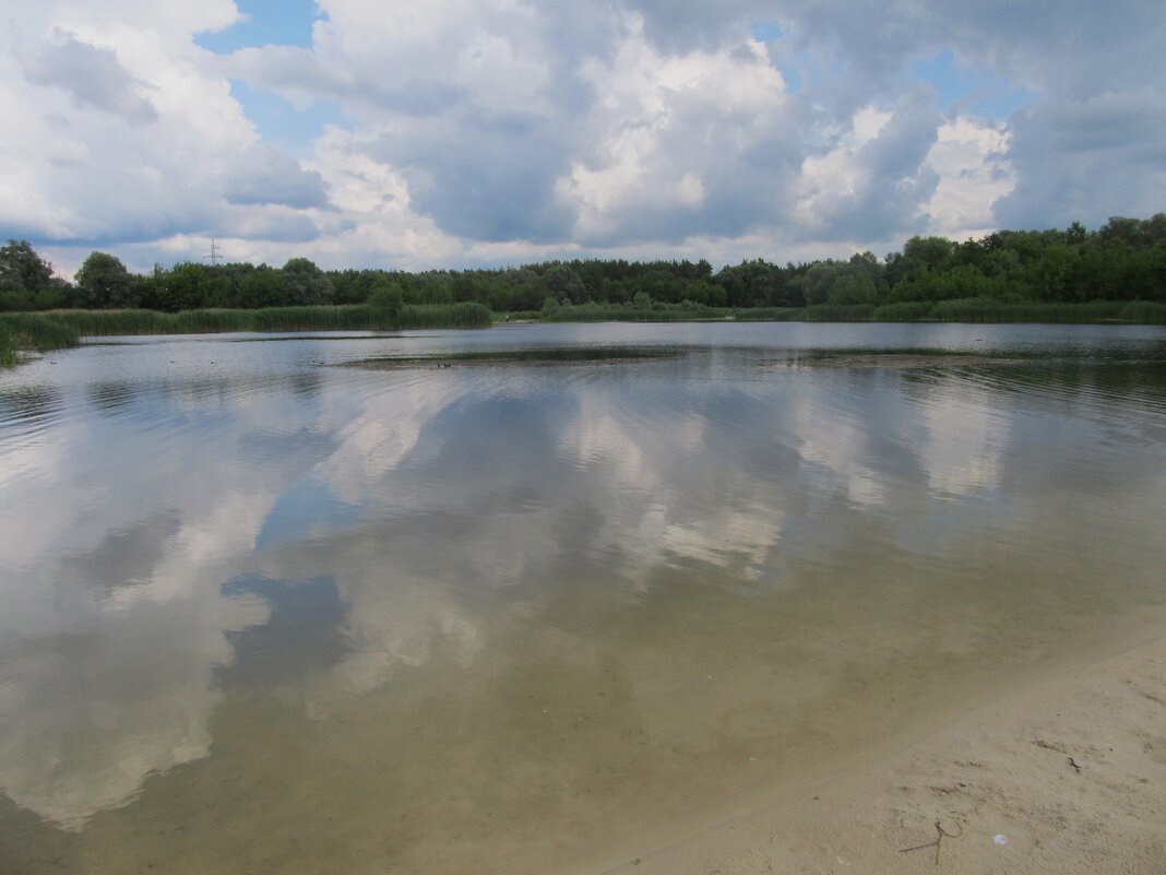 Усманка Воронеж прекрасная окраина - Елена Шаламова