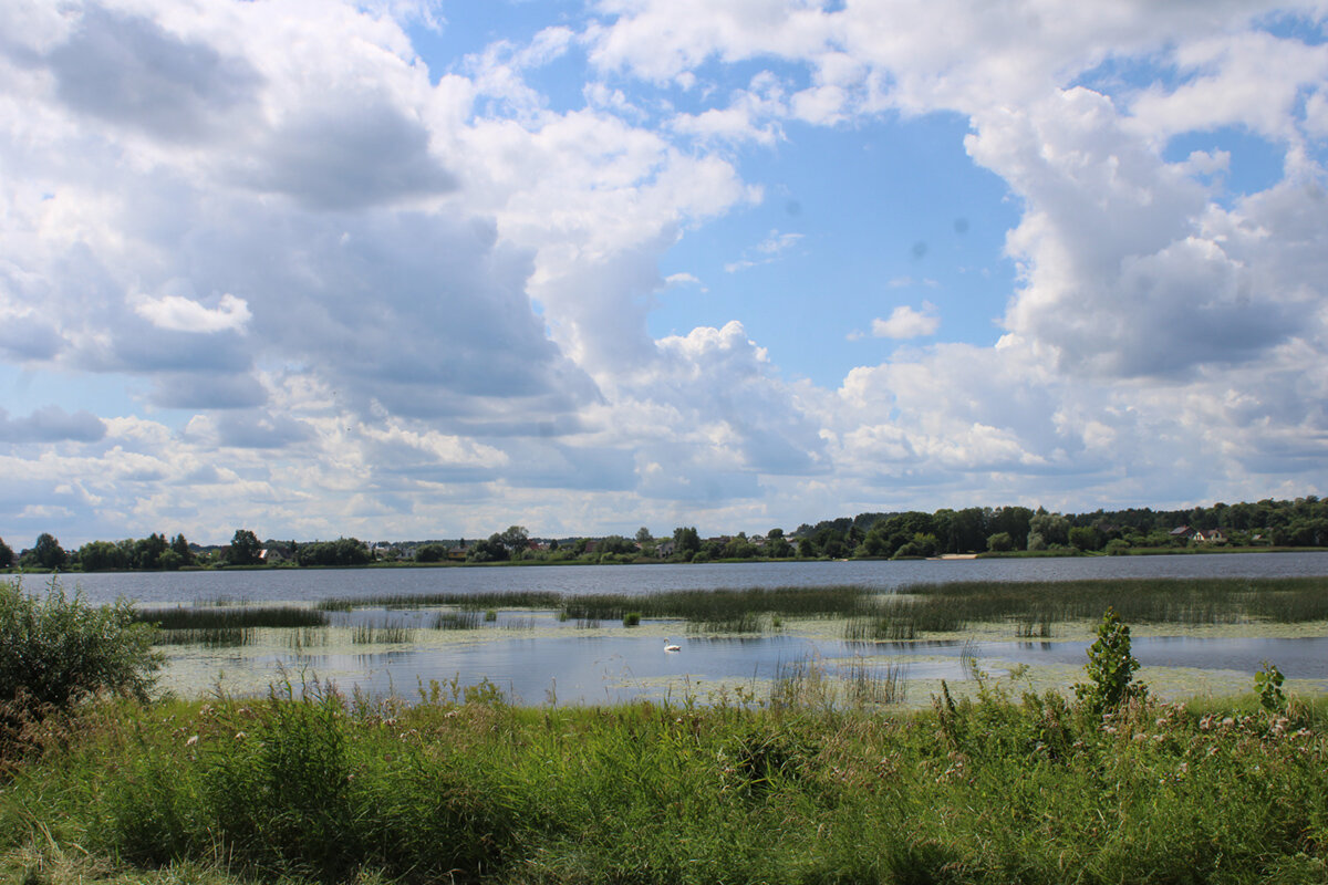 Лето - Aleksandr Gal Лето - Aleksandr Gal