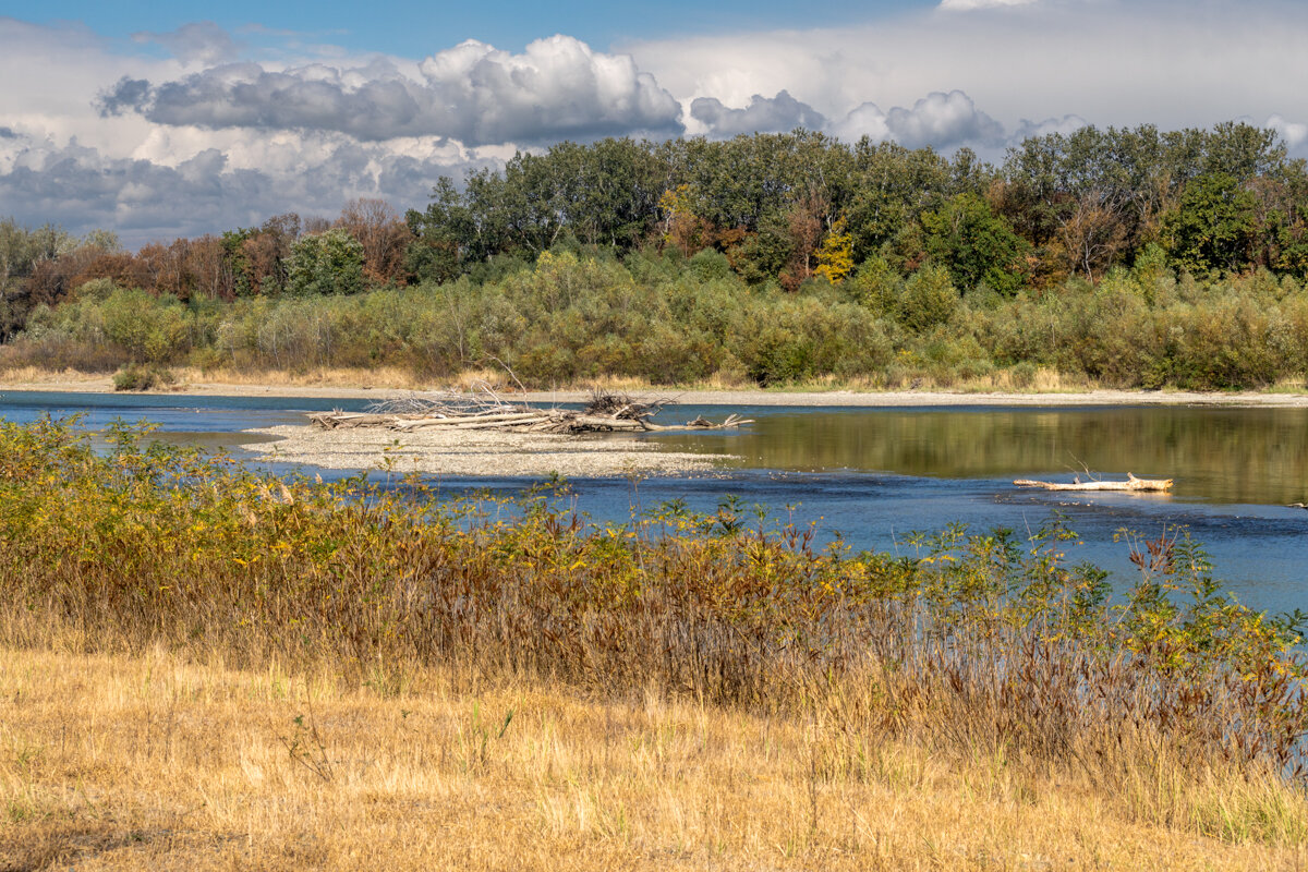Река Кубань - Игорь Сикорский Река Кубань - Игорь Сикорский