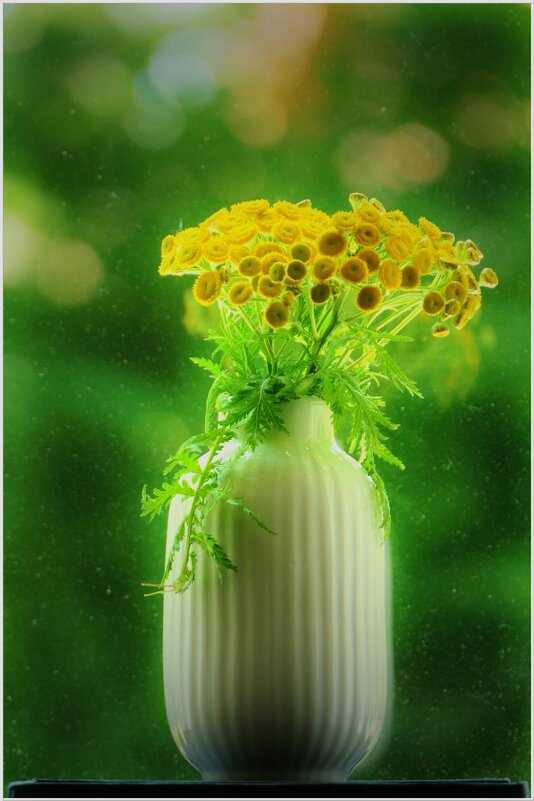 ПИЖМА... - Elvira E. 