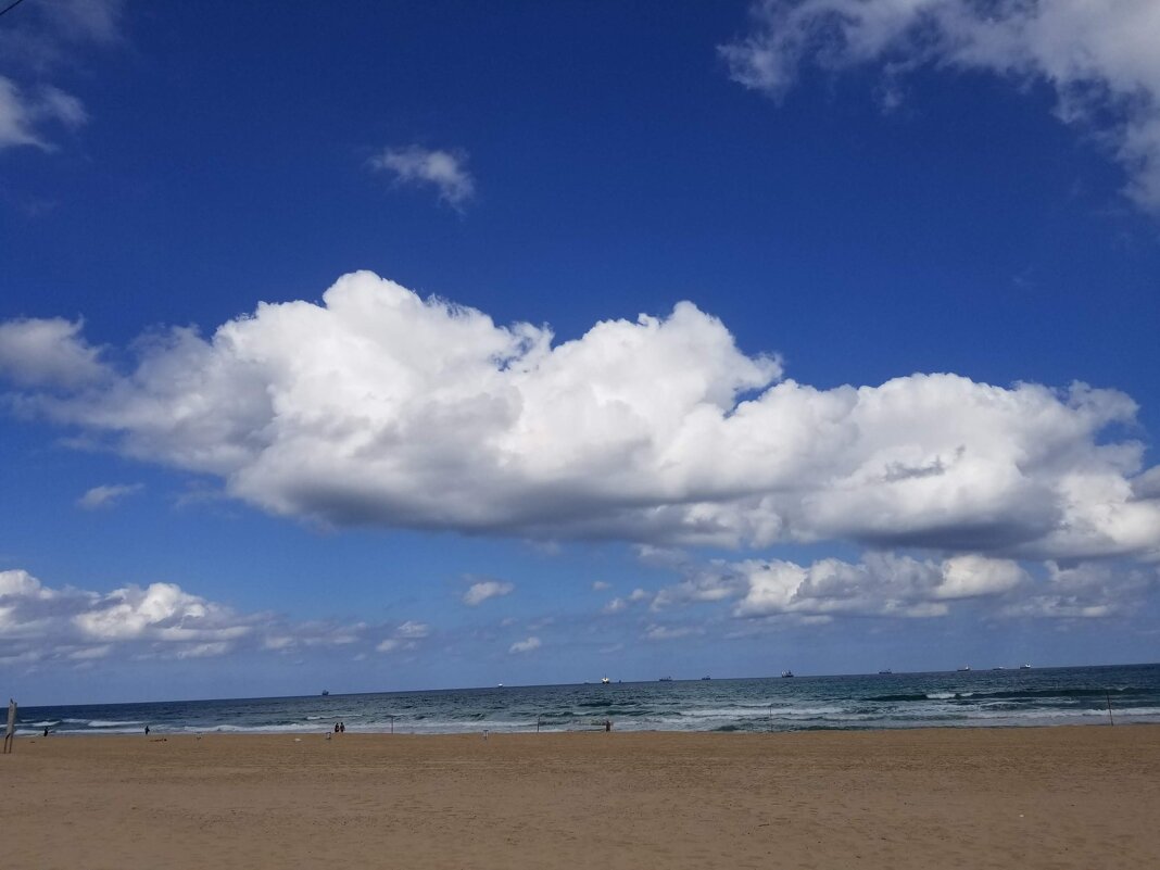 " - Светлана Хращевская