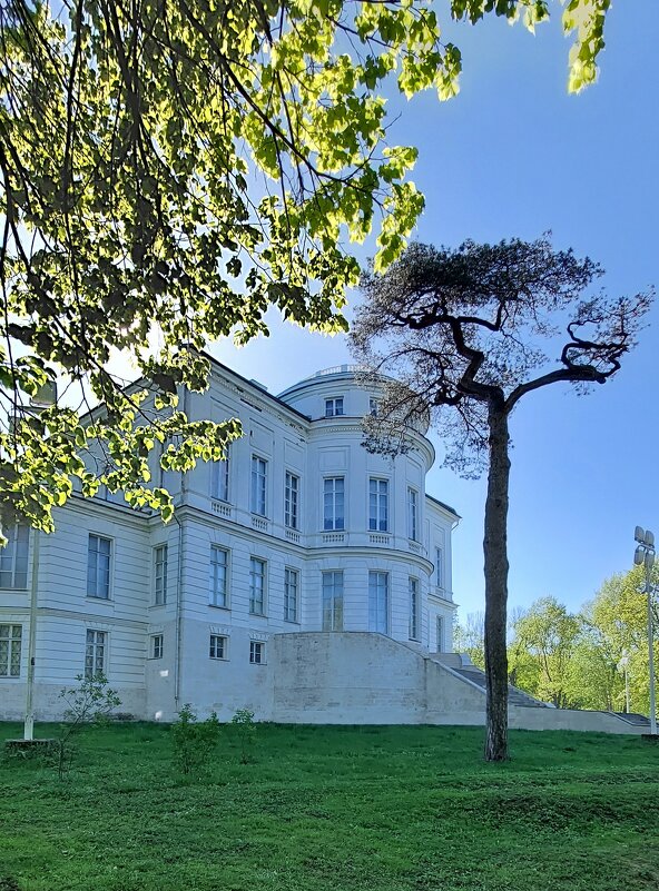 Дворец Бобринских. - ИРЭН@ . Дворец Бобринских. - ИРЭН@ .