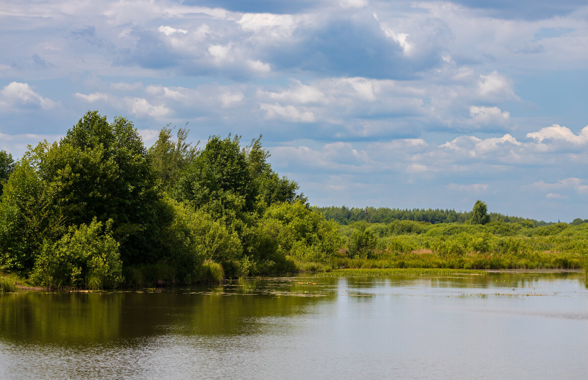 Пейзаж с облачным небом - Александр Синдерёв