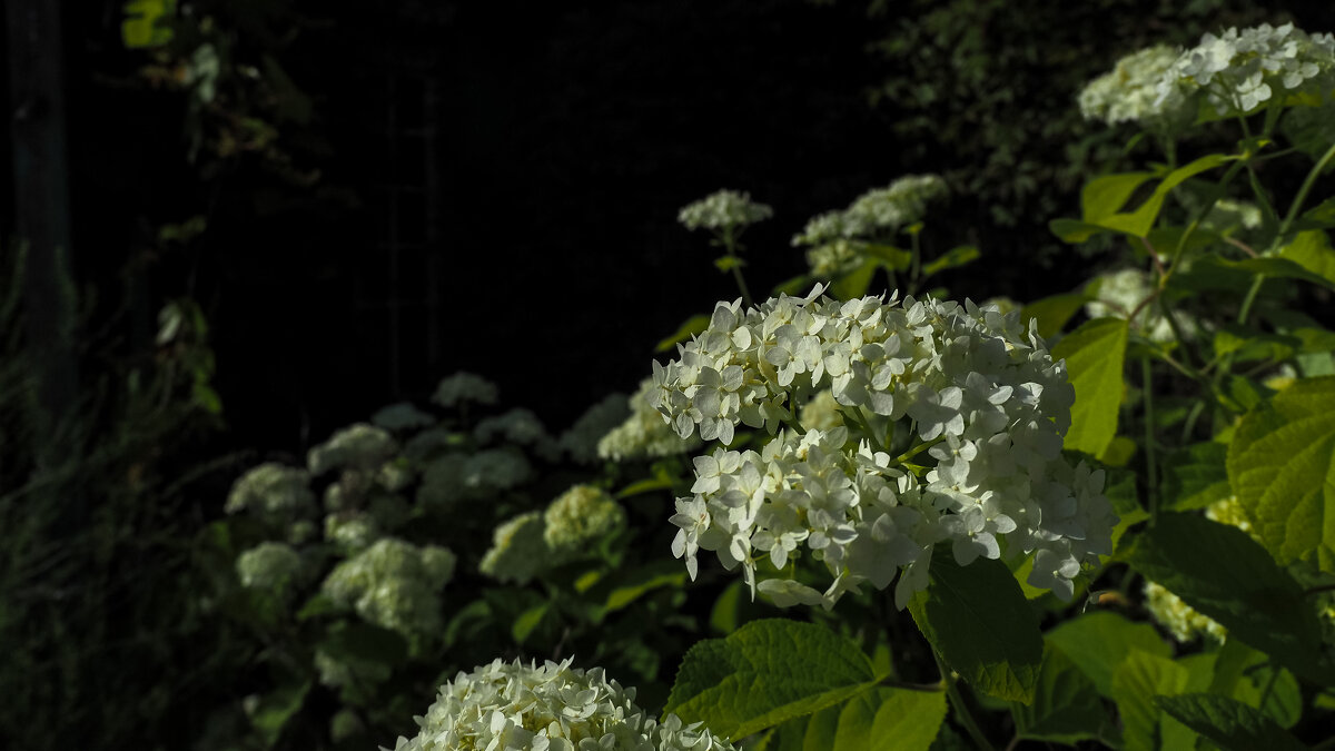 ***** - юрий поляков ***** - юрий поляков