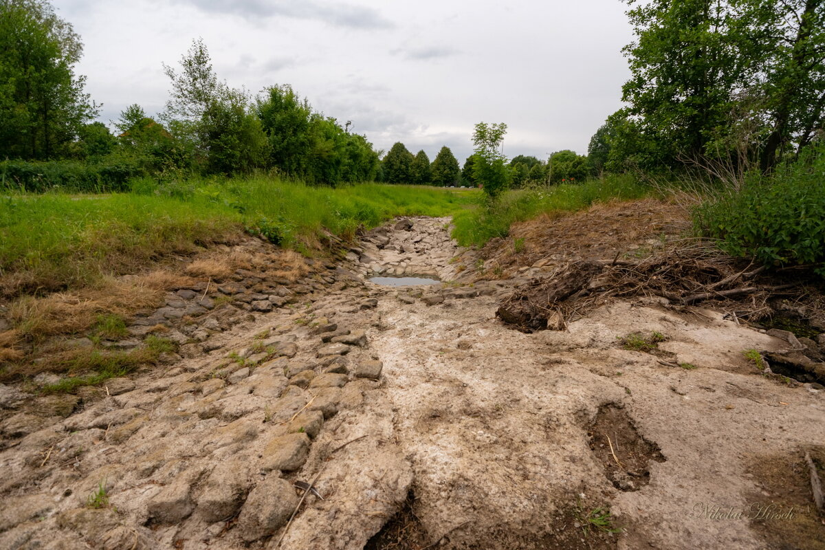 Маловодье... - Николай Гирш Маловодье... - Николай Гирш