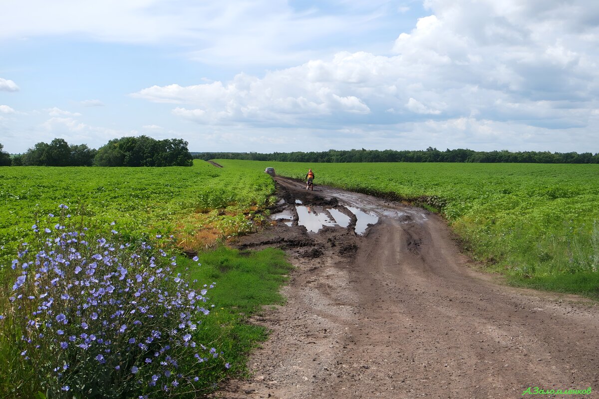 Мы не любим лёгких дорог... :-) - Андрей Заломленков