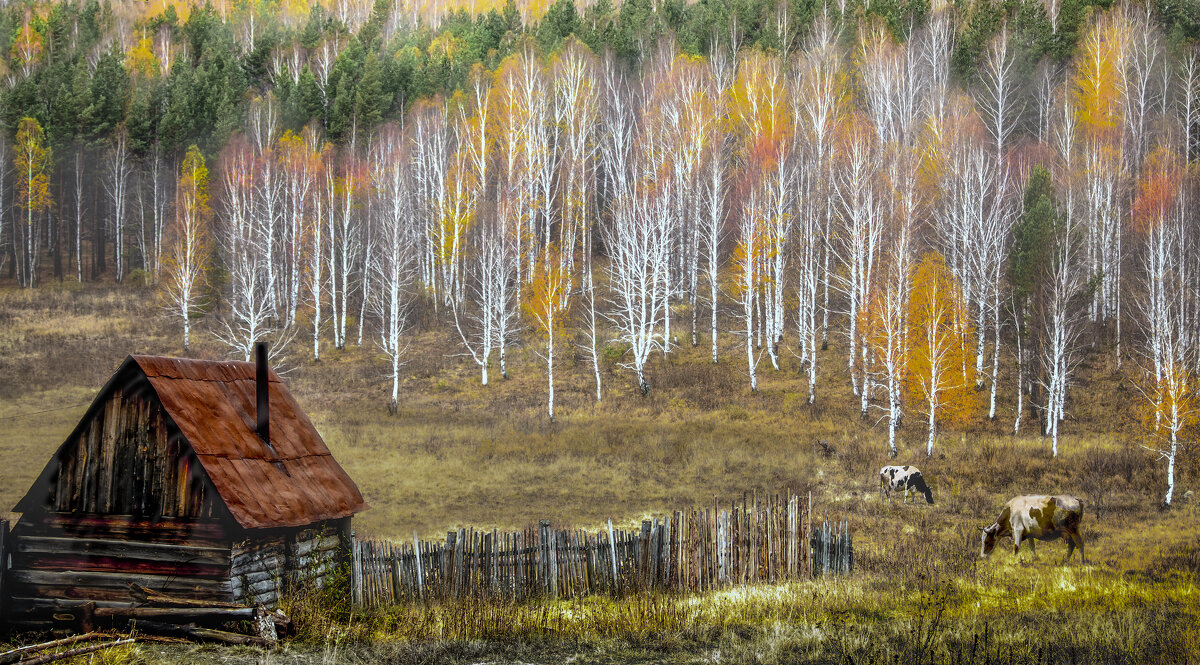 За огородом - александр 