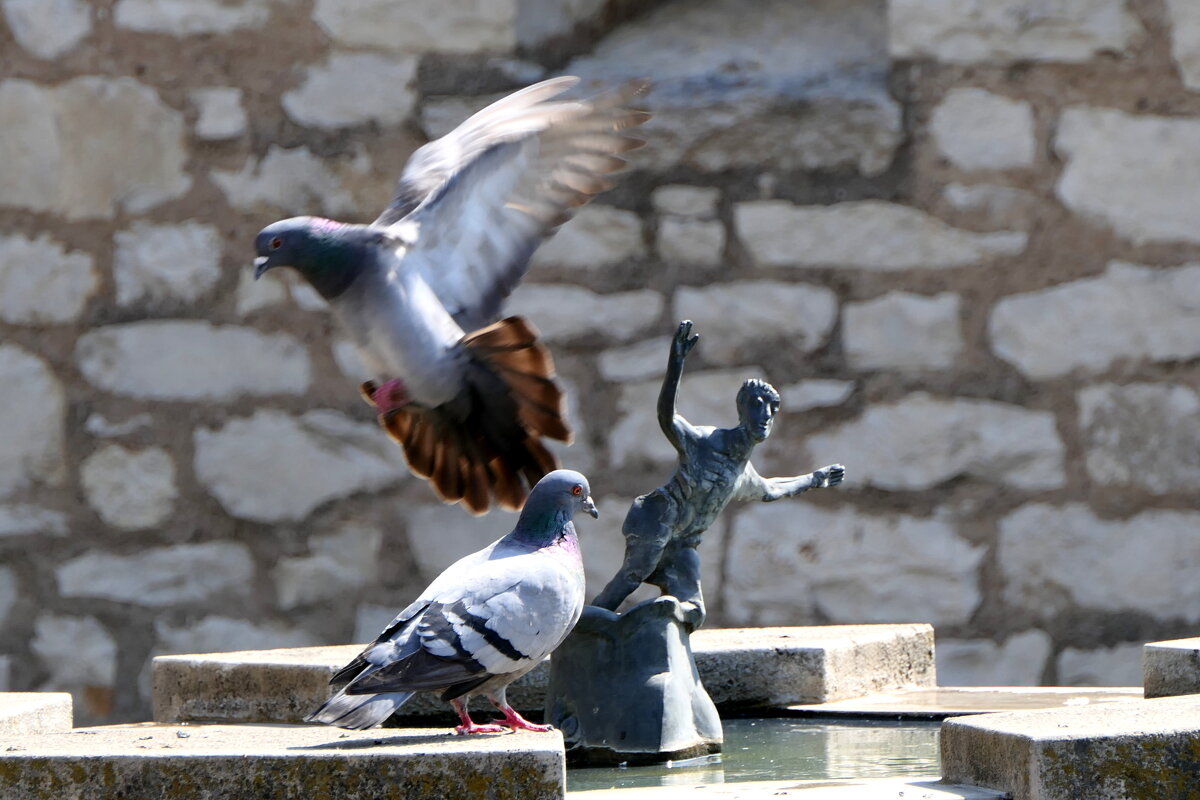 "The Natural World" (Мир Природы) - "The Natural World" Александер "The Natural World" (Мир Природы) - "The Natural World" Александер