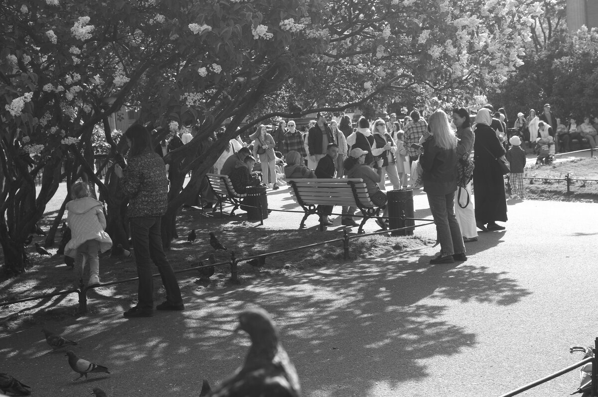 .... - Юрий Самсонов