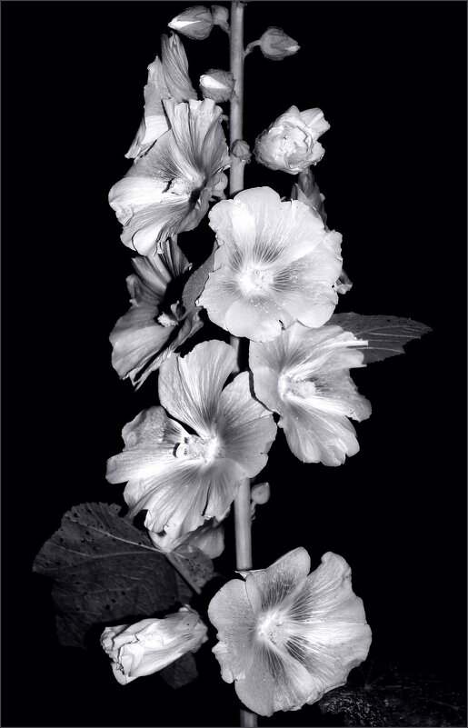 ... - Юрий Ковшов