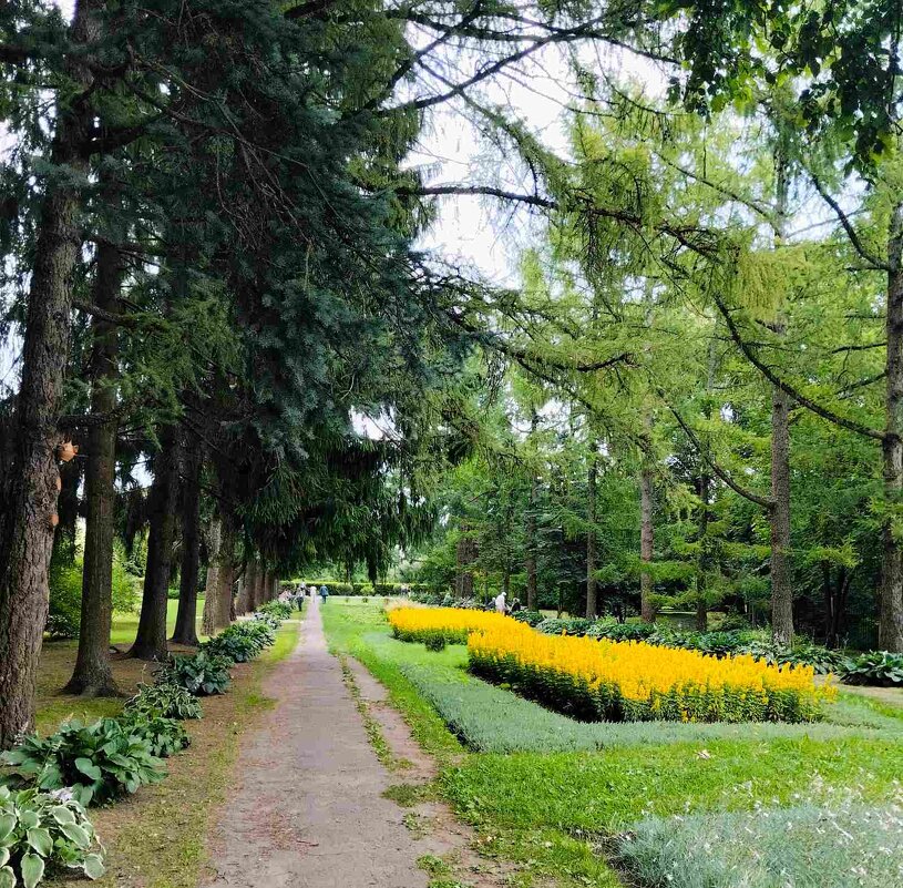 В Ботаническом саду - Галина Бобкина