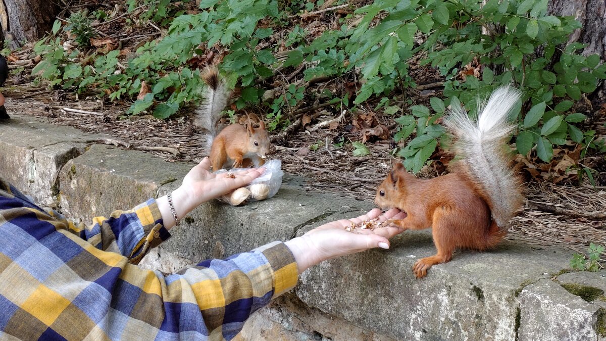Третью давай.... - Александр Кондаков