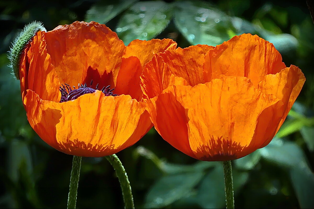 Мы вместе... - Владимир Шошин