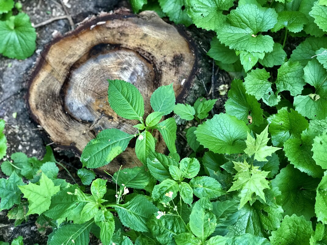 Остался след… - Любовь Остался след… - Любовь