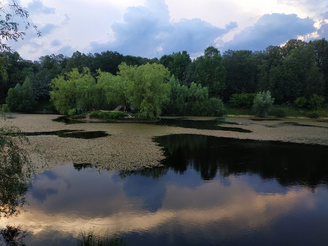 * * * - Андрей Лукьянов