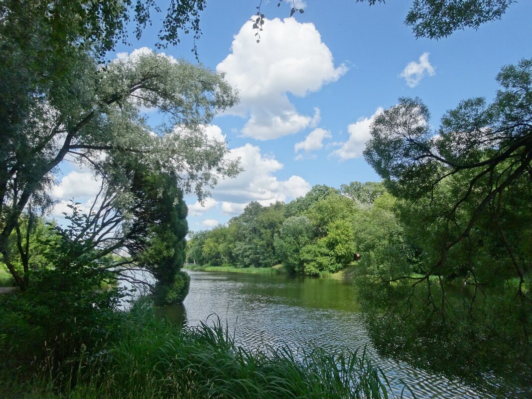 Пейзаж - Лидия Бусурина Пейзаж - Лидия Бусурина