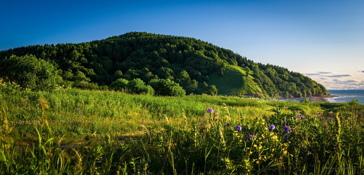 Мыс Горянский,о.Сахалин,утро...Панорама. - Alexander Fedotov Мыс Горянский,о.Сахалин,утро...Панорама. - Alexander Fedotov