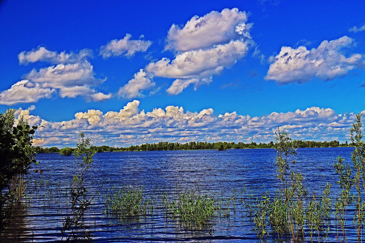 Июнь...В пору половодья на Сыром Агане! - Владимир 