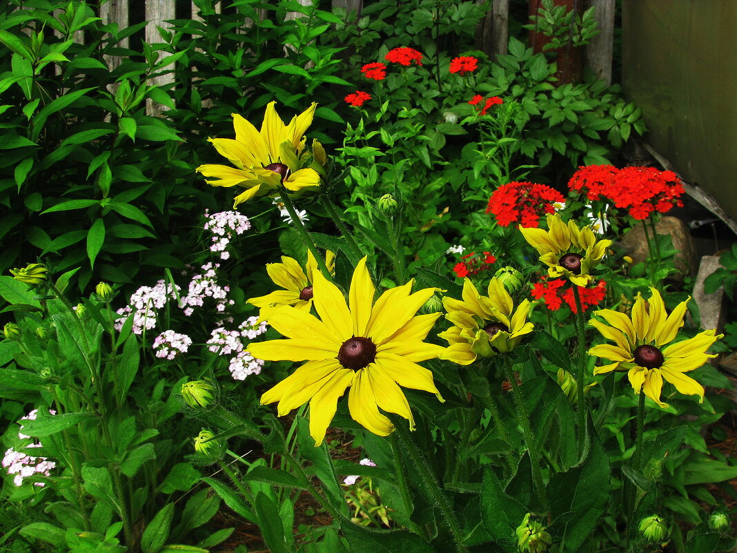 Красота - Людмила Смородинская Красота - Людмила Смородинская