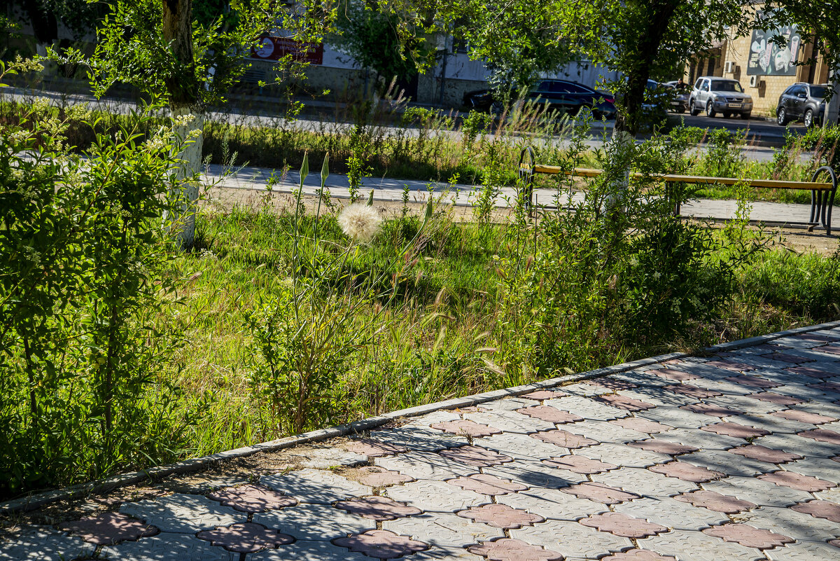 Актау - Анатолий Чикчирный