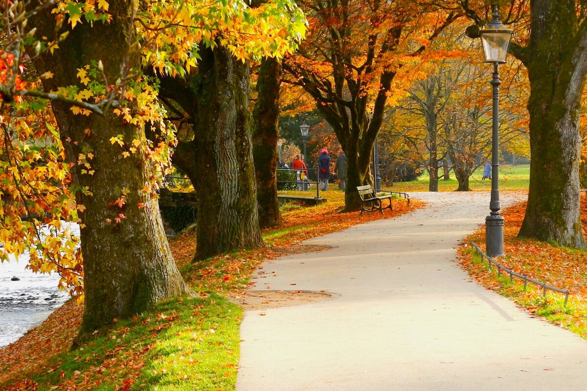 Я ухожу в осеннюю аллею - Юрий. Шмаков