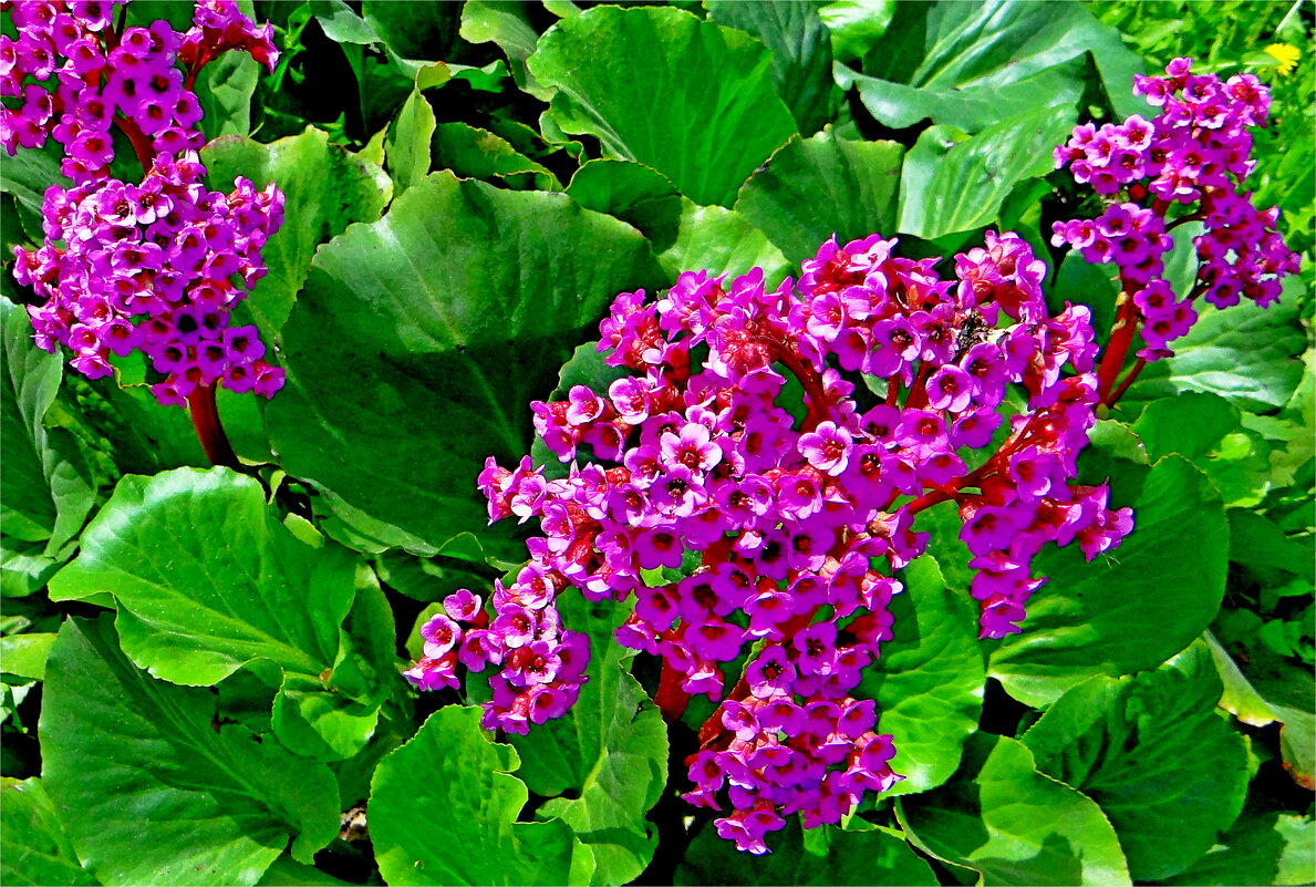 ЛЕТО - Юрий Владимирович 34