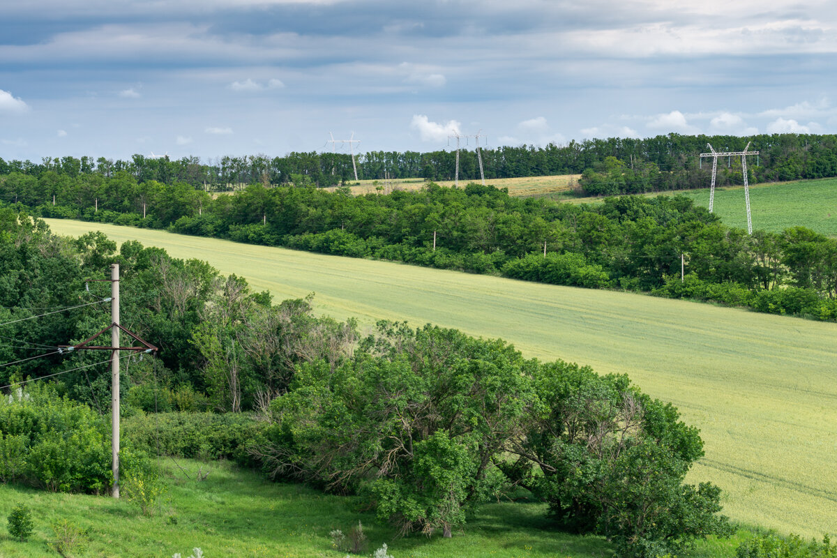Окрестности - Игорь Сикорский Окрестности - Игорь Сикорский