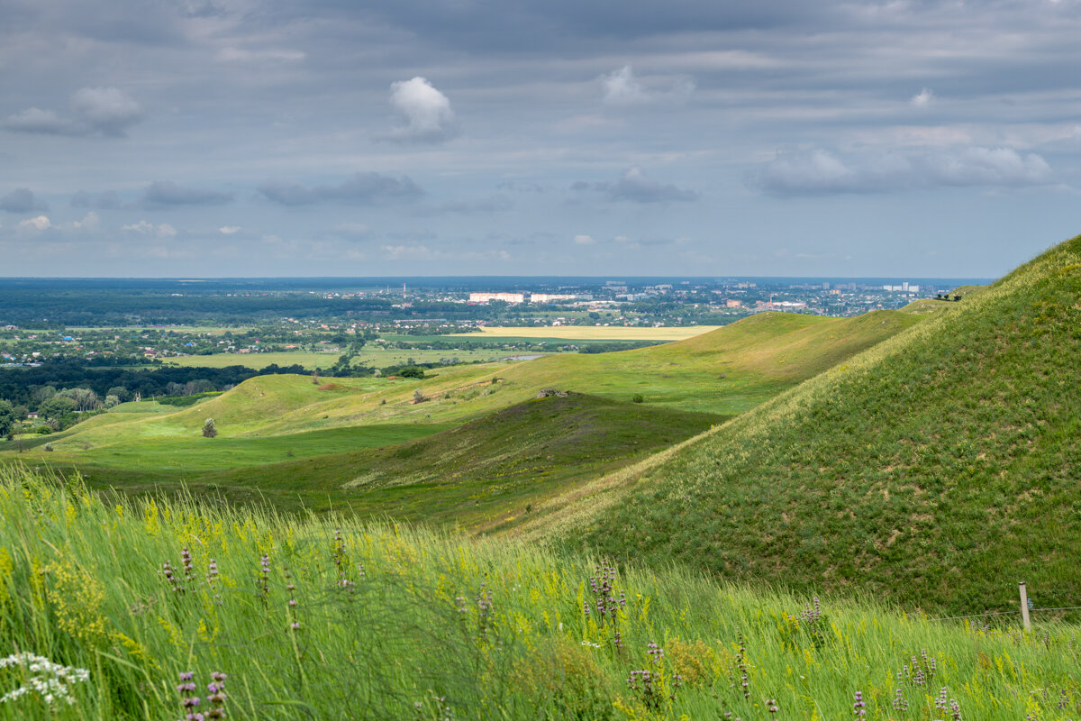 Окрестности - Игорь Сикорский