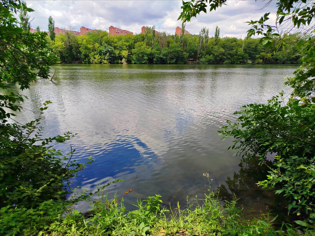 В зоопарке! - Надежда 