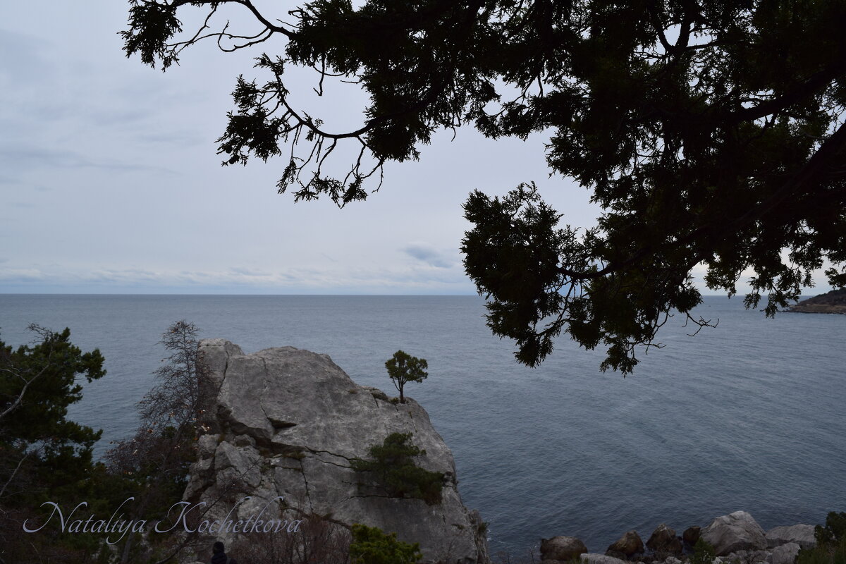 Природа Крыма - Amazing Cosmea