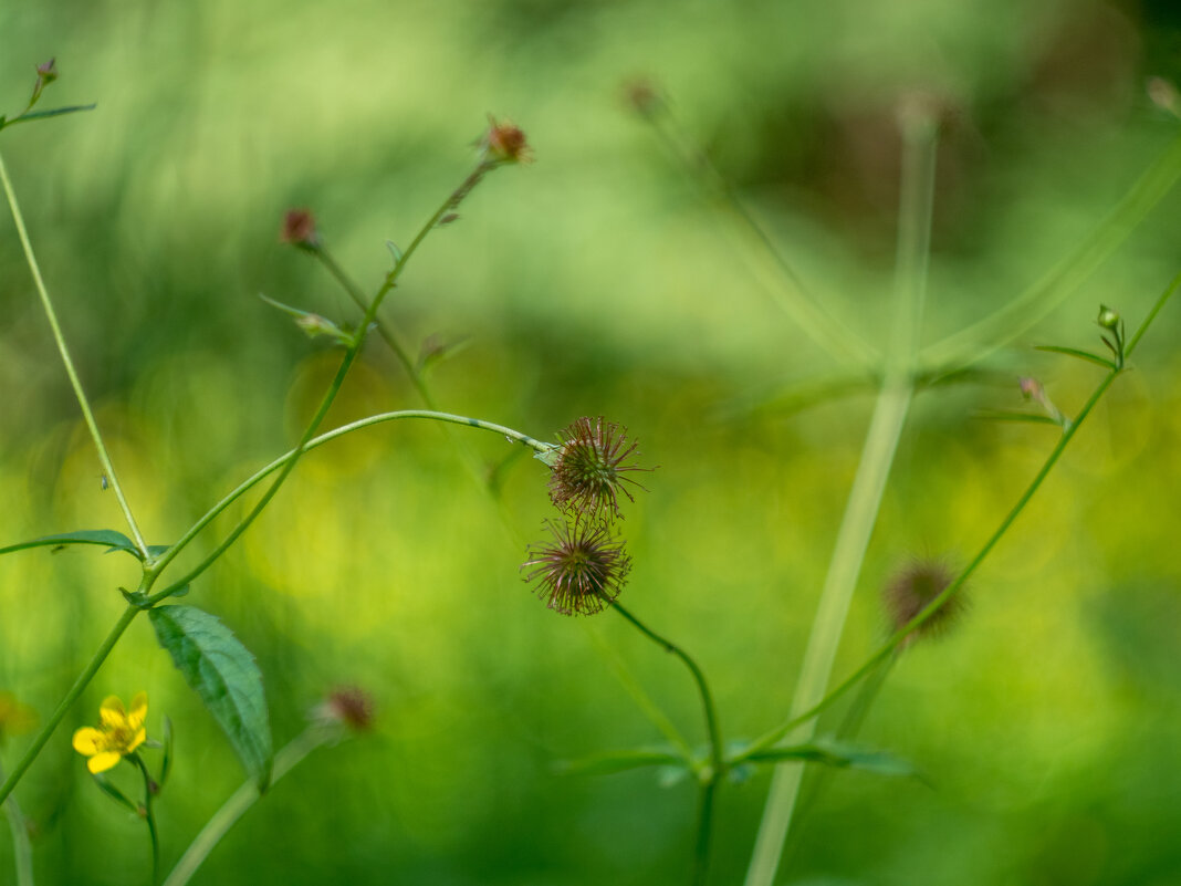 ___ - Yuriy V ___ - Yuriy V