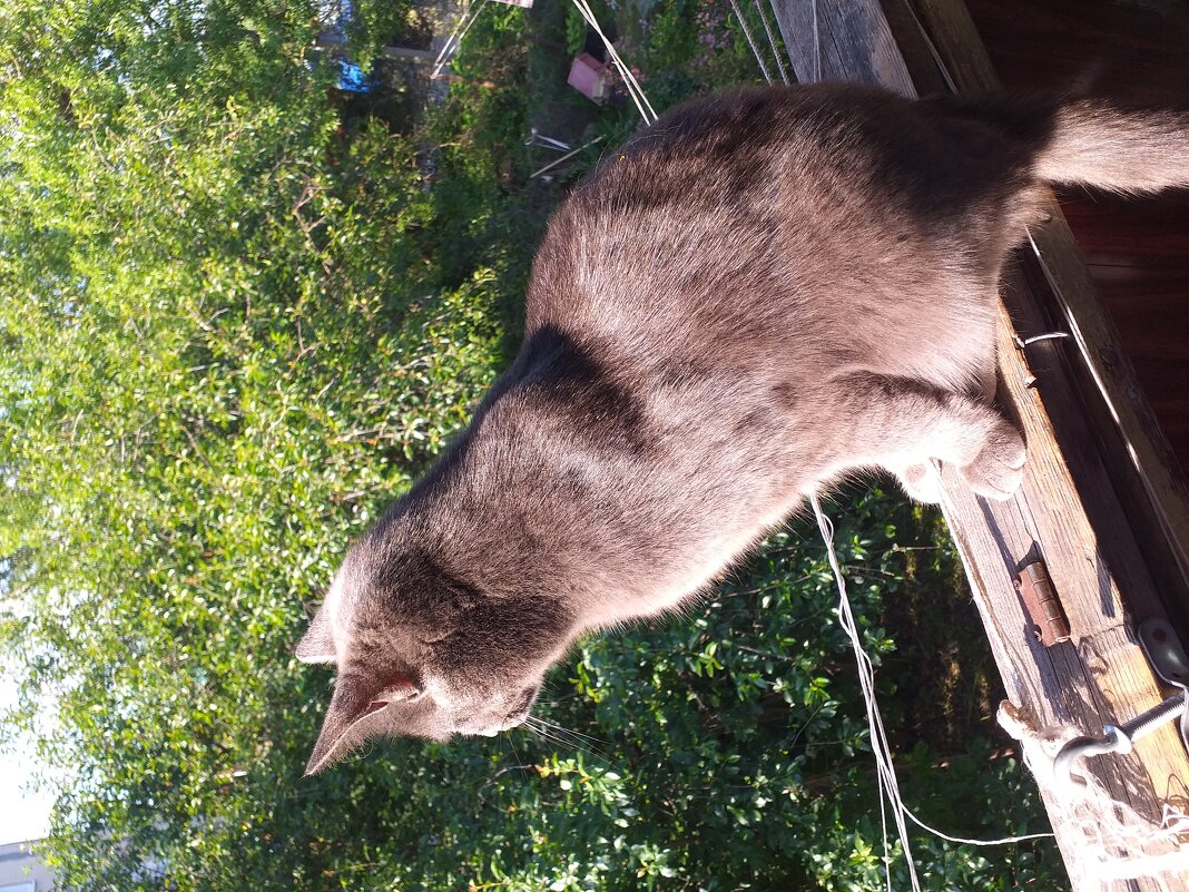 утренняя медитация - Галина Флора