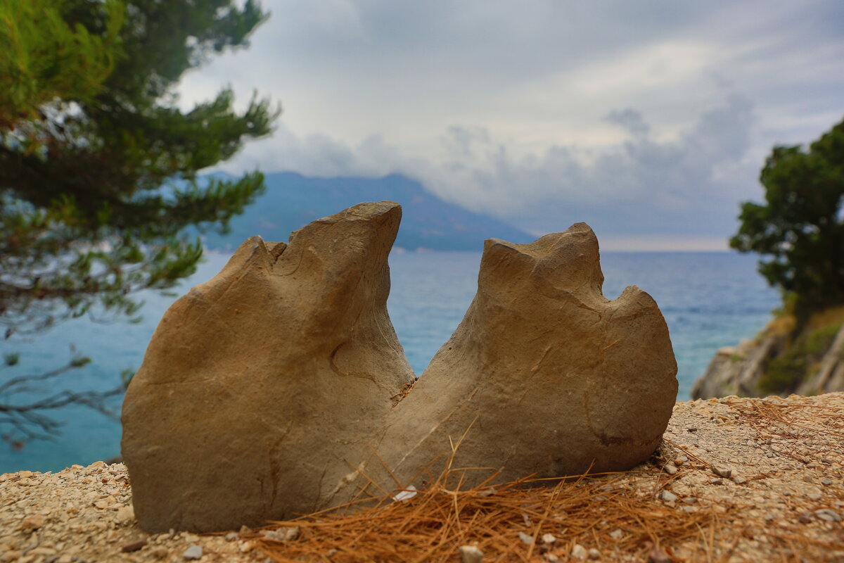 Камень - Евгений + Камень - Евгений +