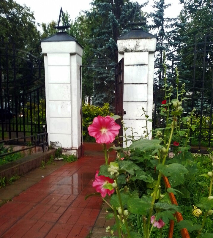 *** - Валентина Береснева