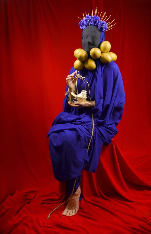 * - Нина Зорич