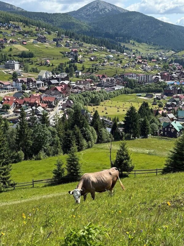 Карпати - Степан Карачко