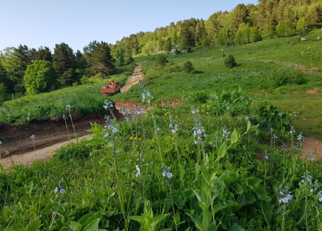 ПЛАТО ЛАГОНАКИ - Tata Wolf