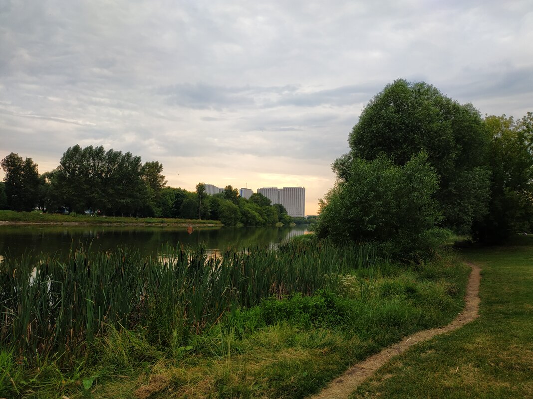 * * * - Андрей Лукьянов