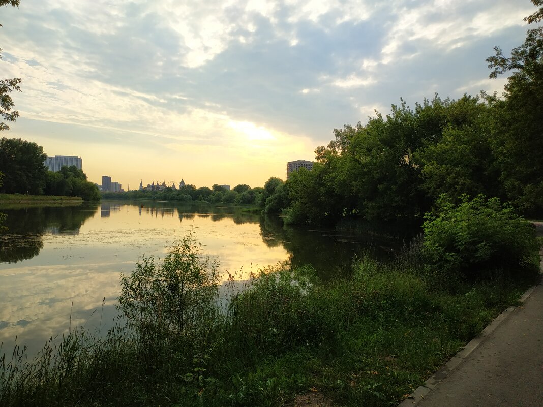 * * * - Андрей Лукьянов